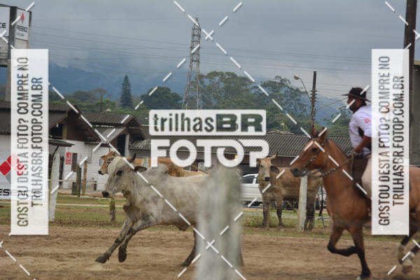 Buy your photos of the eventSemana Farroupilha no CTG os Praianos on Fotop