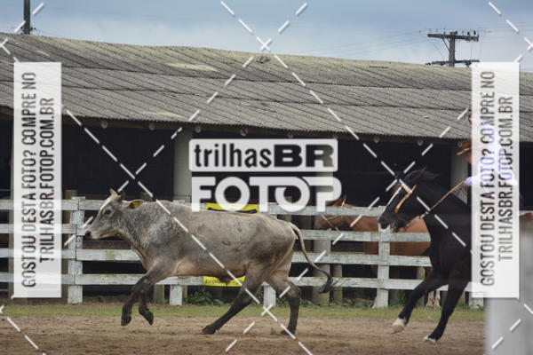 Buy your photos of the eventSemana Farroupilha no CTG os Praianos on Fotop