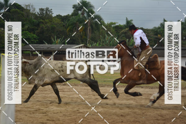 Buy your photos of the eventSemana Farroupilha no CTG os Praianos on Fotop