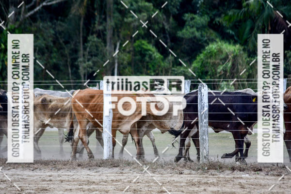 Buy your photos of the eventSemana Farroupilha no CTG os Praianos on Fotop