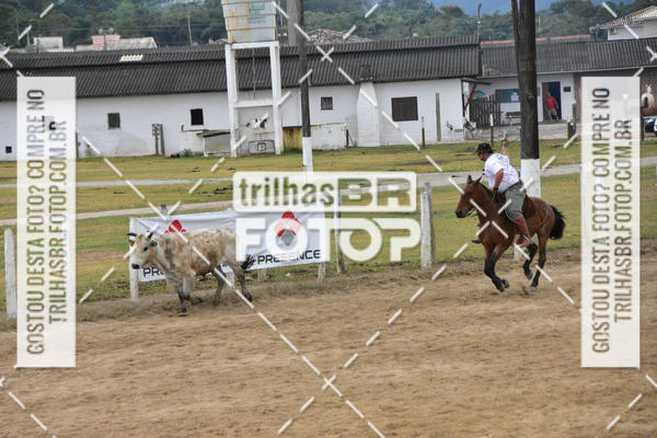 Buy your photos of the eventSemana Farroupilha no CTG os Praianos on Fotop