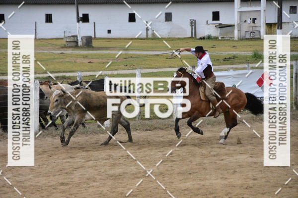 Buy your photos of the eventSemana Farroupilha no CTG os Praianos on Fotop