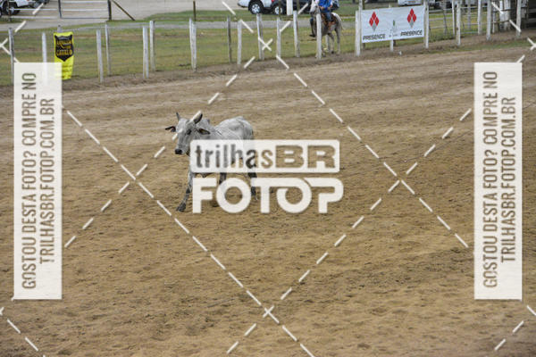Buy your photos of the eventSemana Farroupilha no CTG os Praianos on Fotop