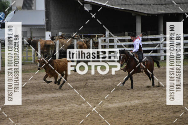 Buy your photos of the eventSemana Farroupilha no CTG os Praianos on Fotop