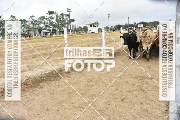 Buy your photos of the eventSemana Farroupilha no CTG os Praianos on Fotop