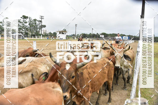 Buy your photos of the eventSemana Farroupilha no CTG os Praianos on Fotop