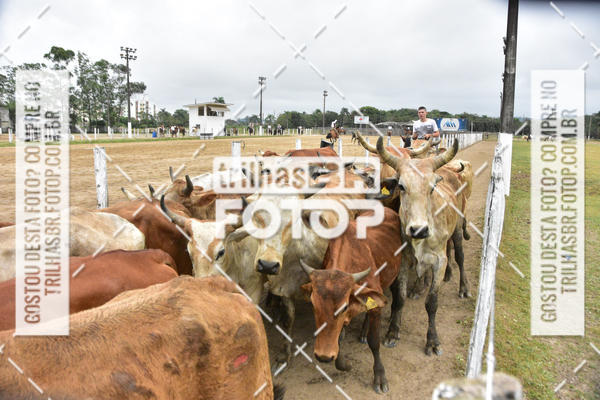 Buy your photos of the eventSemana Farroupilha no CTG os Praianos on Fotop