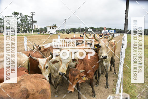 Buy your photos of the eventSemana Farroupilha no CTG os Praianos on Fotop