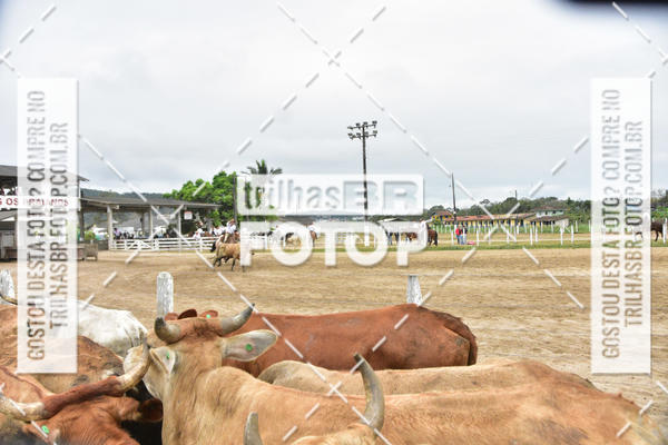 Buy your photos of the eventSemana Farroupilha no CTG os Praianos on Fotop