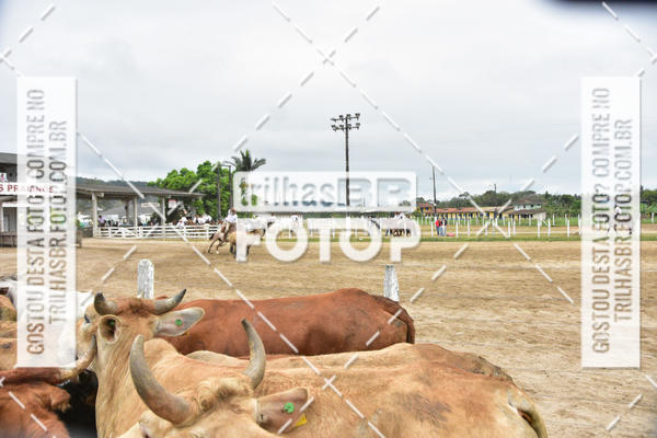 Buy your photos of the eventSemana Farroupilha no CTG os Praianos on Fotop