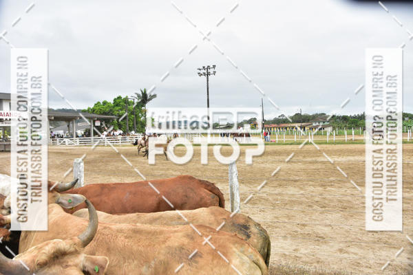 Buy your photos of the eventSemana Farroupilha no CTG os Praianos on Fotop