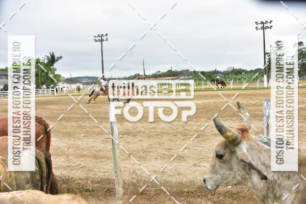Buy your photos of the eventSemana Farroupilha no CTG os Praianos on Fotop