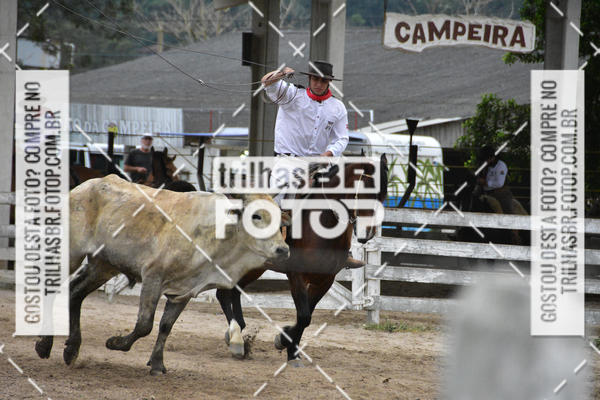 Buy your photos of the eventSemana Farroupilha no CTG os Praianos on Fotop
