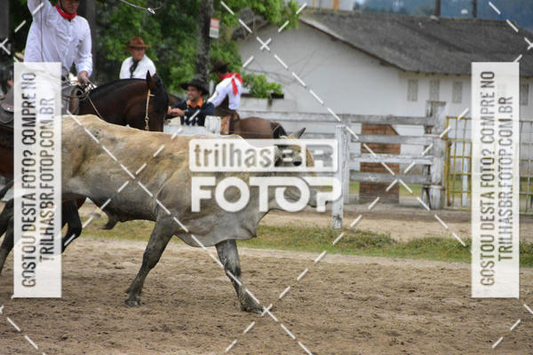 Buy your photos of the eventSemana Farroupilha no CTG os Praianos on Fotop