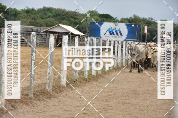Buy your photos of the eventSemana Farroupilha no CTG os Praianos on Fotop