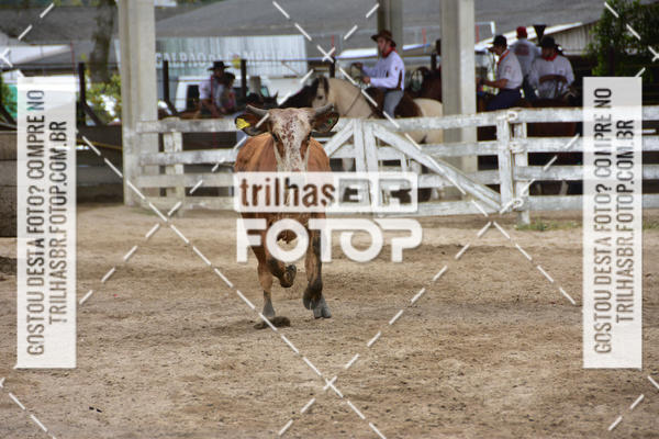 Buy your photos of the eventSemana Farroupilha no CTG os Praianos on Fotop
