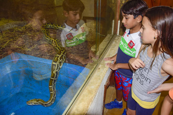 Buy your photos of the eventNR1 - Cl�ssico de 17 a 19/09/17  on Fotop