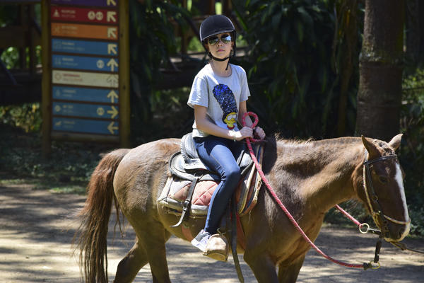 Buy your photos of the eventNR1 - Cl�ssico de 17 a 19/09/17  on Fotop