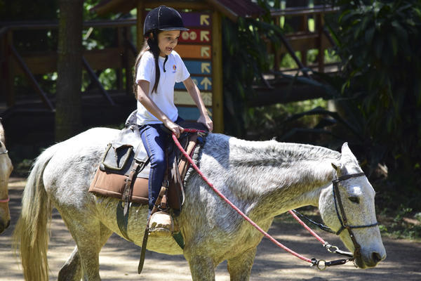 Buy your photos of the eventNR1 - Cl�ssico de 17 a 19/09/17  on Fotop