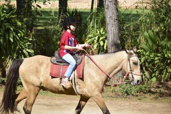 Buy your photos of the eventNR1 - Cl�ssico de 17 a 19/09/17  on Fotop