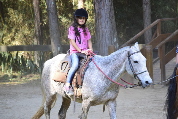 Buy your photos of the eventNR1 - Cl�ssico de 17 a 19/09/17  on Fotop