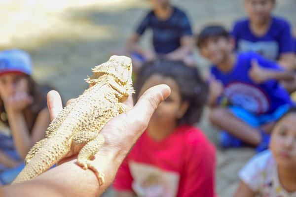 Buy your photos of the eventNR1 - Cl�ssico de 17 a 19/09/17  on Fotop