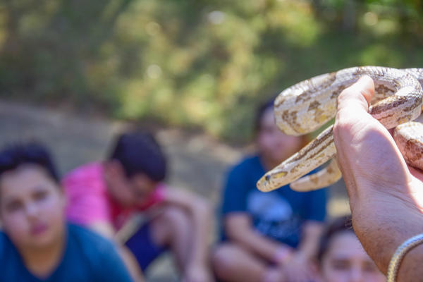 Buy your photos of the eventNR1 - Cl�ssico de 17 a 19/09/17  on Fotop