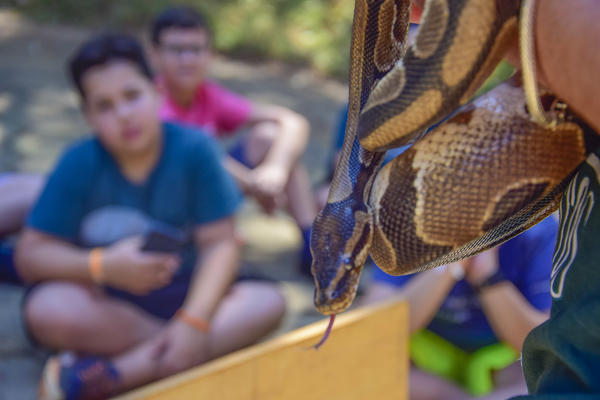 Buy your photos of the eventNR1 - Cl�ssico de 17 a 19/09/17  on Fotop