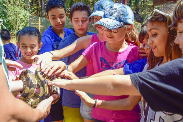 Buy your photos of the eventNR1 - Cl�ssico de 17 a 19/09/17  on Fotop