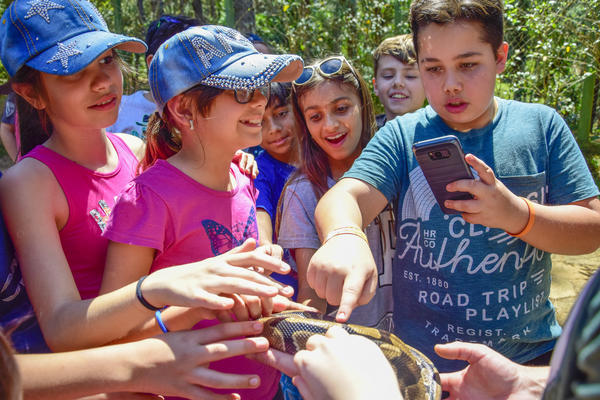 Buy your photos of the eventNR1 - Cl�ssico de 17 a 19/09/17  on Fotop