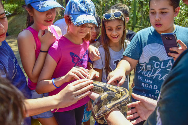 Buy your photos of the eventNR1 - Cl�ssico de 17 a 19/09/17  on Fotop