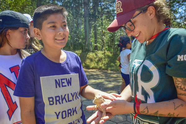 Buy your photos of the eventNR1 - Cl�ssico de 17 a 19/09/17  on Fotop