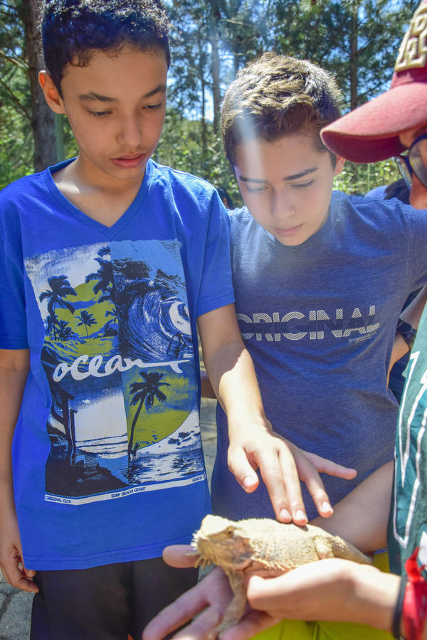 Buy your photos of the eventNR1 - Cl�ssico de 17 a 19/09/17  on Fotop