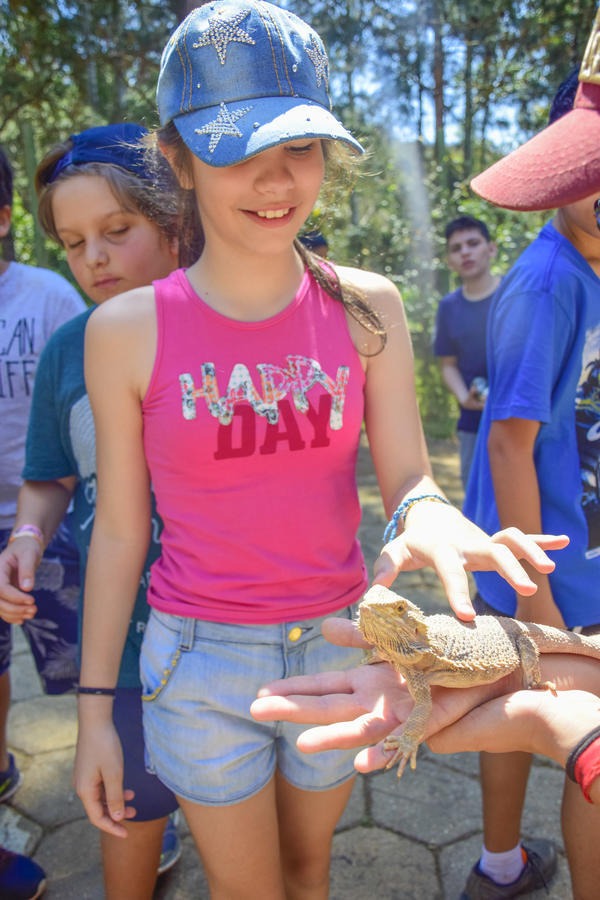 Buy your photos of the eventNR1 - Cl�ssico de 17 a 19/09/17  on Fotop