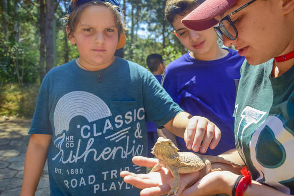 Buy your photos of the eventNR1 - Cl�ssico de 17 a 19/09/17  on Fotop