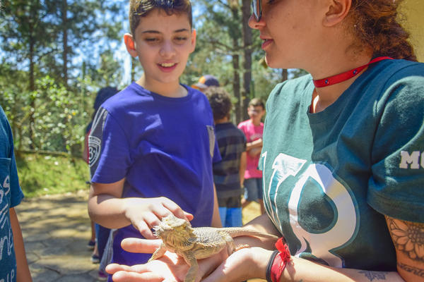 Buy your photos of the eventNR1 - Cl�ssico de 17 a 19/09/17  on Fotop