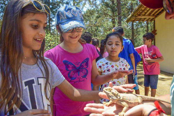 Buy your photos of the eventNR1 - Cl�ssico de 17 a 19/09/17  on Fotop