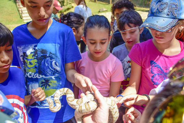 Buy your photos of the eventNR1 - Cl�ssico de 17 a 19/09/17  on Fotop