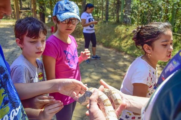 Buy your photos of the eventNR1 - Cl�ssico de 17 a 19/09/17  on Fotop