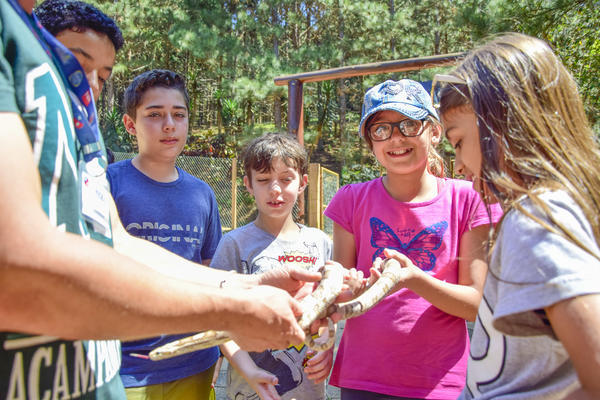 Buy your photos of the eventNR1 - Cl�ssico de 17 a 19/09/17  on Fotop