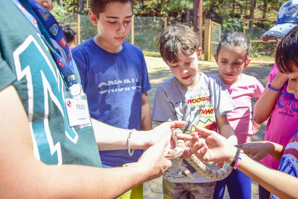 Buy your photos of the eventNR1 - Cl�ssico de 17 a 19/09/17  on Fotop