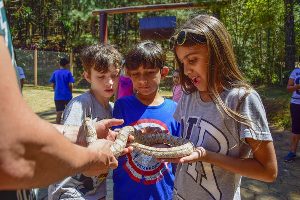 Buy your photos of the eventNR1 - Cl�ssico de 17 a 19/09/17  on Fotop