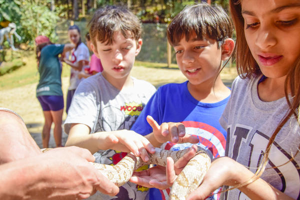 Buy your photos of the eventNR1 - Cl�ssico de 17 a 19/09/17  on Fotop