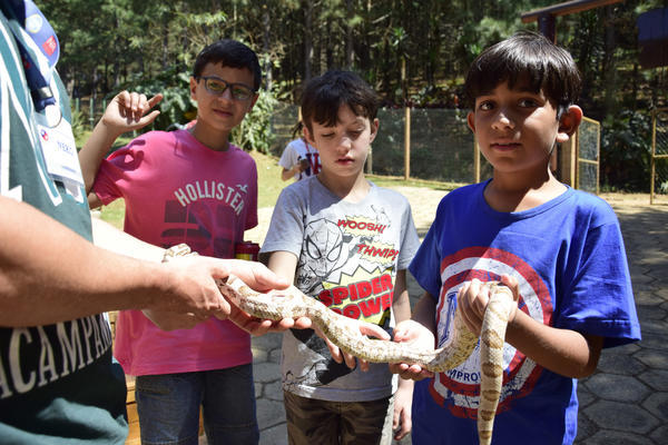 Buy your photos of the eventNR1 - Cl�ssico de 17 a 19/09/17  on Fotop