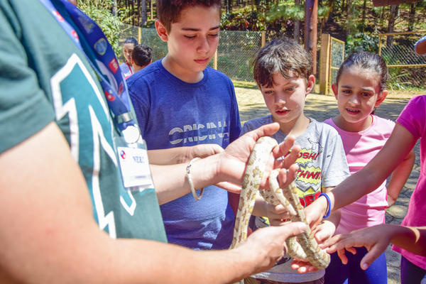 Buy your photos of the eventNR1 - Cl�ssico de 17 a 19/09/17  on Fotop