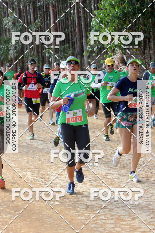 Buy your photos of the event1a Edio - Trail Run Dos Eucaliptos on Fotop