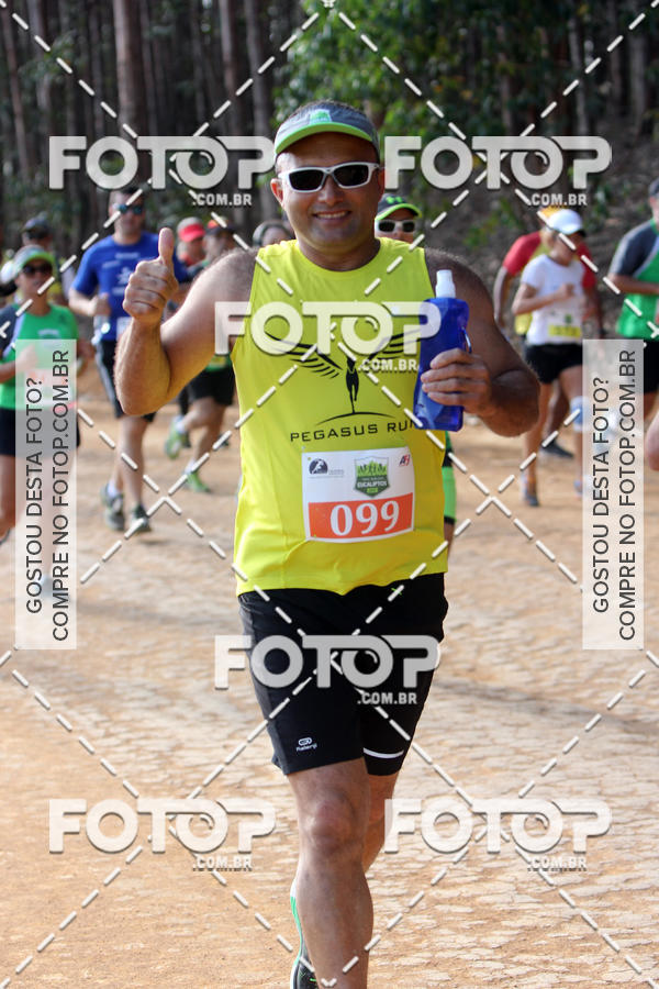 Buy your photos of the event1a Edio - Trail Run Dos Eucaliptos on Fotop
