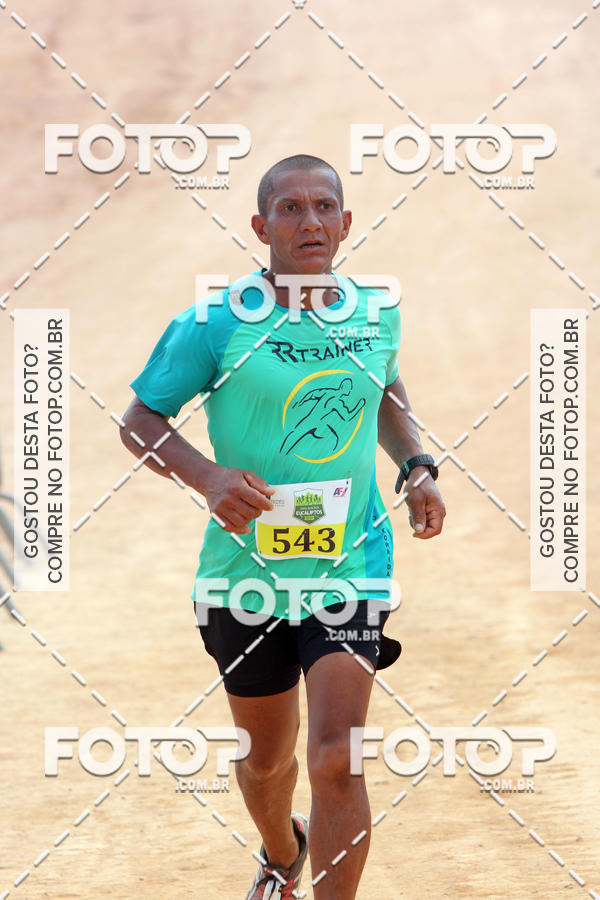 Buy your photos of the event1a Edi��o - Trail Run Dos Eucaliptos on Fotop