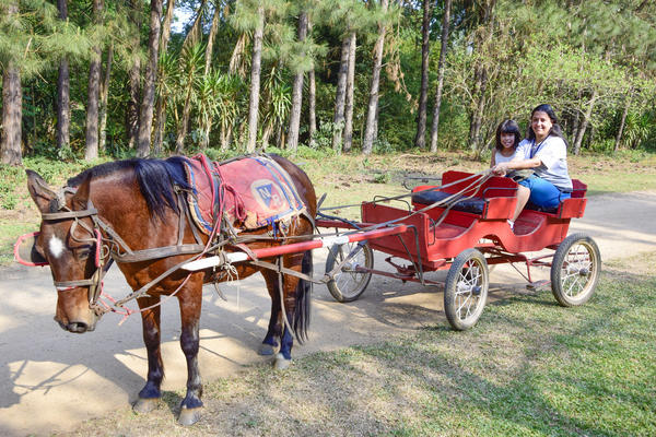Buy your photos of the eventNR1 - Cl�ssico de 25 a 27/09/17 on Fotop
