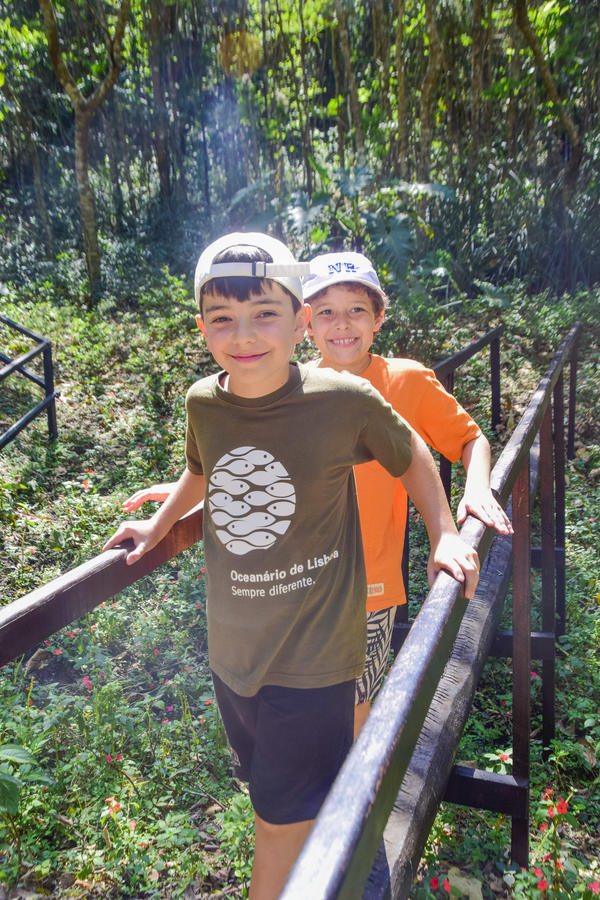 Buy your photos of the eventNR1 - Cl�ssico de 25 a 27/09/17 on Fotop